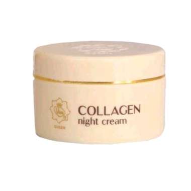 Viva Collagen Night Cream 22g