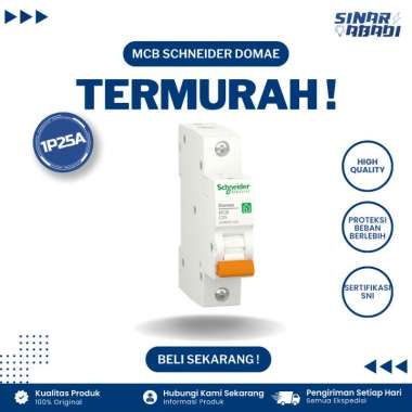 Schneider MCB Domae 1 Phase 25A