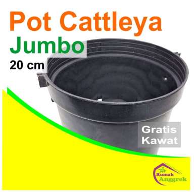 Pot Cattleya Jumbo Gantung Bulat 20 cm 8 inch kawat dendrobium anggrek plastik remaja besar kuat