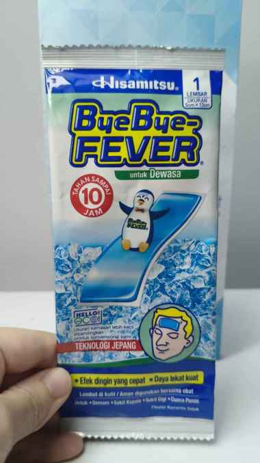 Bye-Bye Fever Dewasa