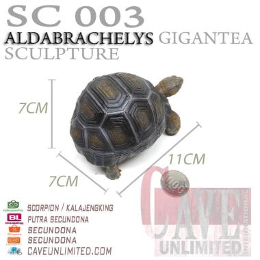 Replika patung hewan baby tortoise sulcata kura kura darat resin ALDABRA