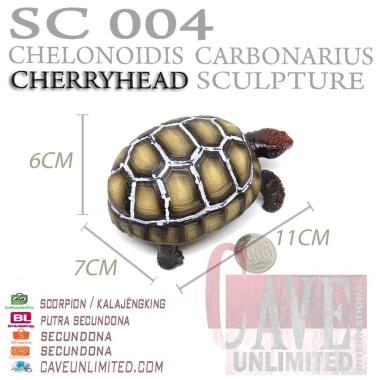 Replika patung hewan baby tortoise sulcata kura kura darat resin CHERRY HEAD