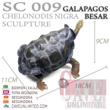 Replika patung hewan baby tortoise sulcata kura kura darat resin GALAPAGOS