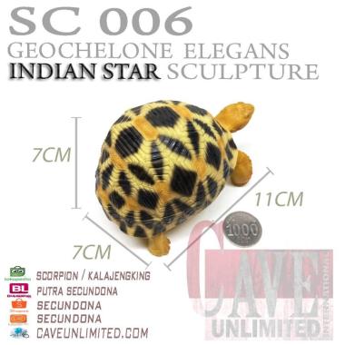 Replika patung hewan baby tortoise sulcata kura kura darat resin INDIAN STAR