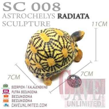 Replika patung hewan baby tortoise sulcata kura kura darat resin RADIATA