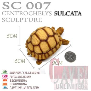 Replika patung hewan baby tortoise sulcata kura kura darat resin SULCATA