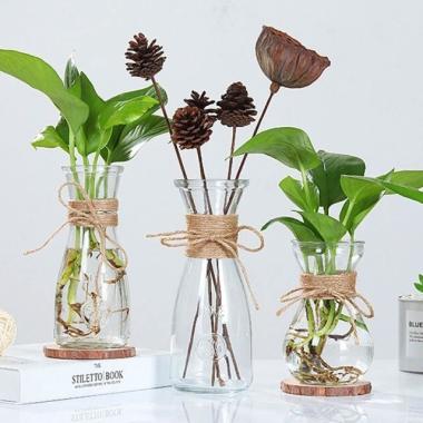 VAS BUNGA KACA BENING TALI RAMI CARAFE POT TANAMAN AIR HIDROPONIK warna VAS KOTAK 10CM
