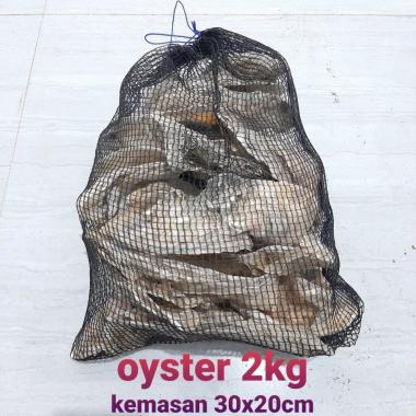 media filter oyster kulit kerang cangkang tiram kemasan 2kg