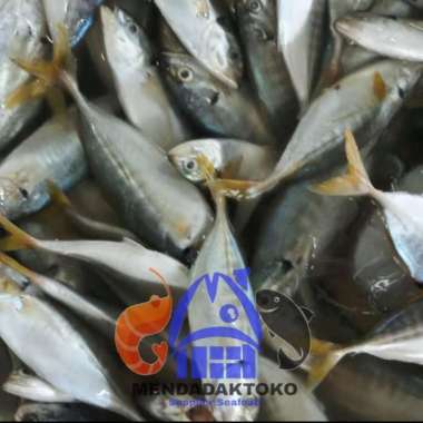 ikan como segar | ikan laut segar | seafood