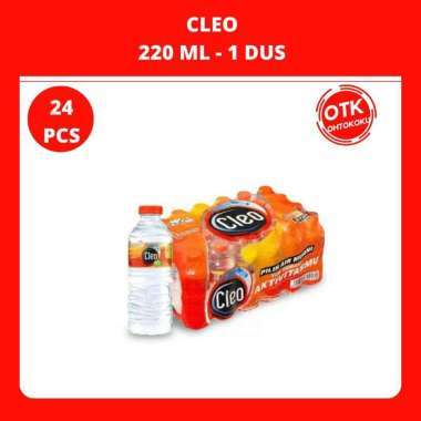 CLEO SMART AIR MINERAL 220ML - 1 DUS