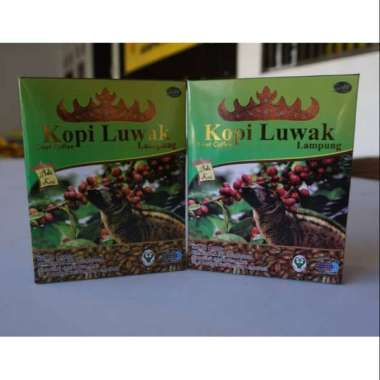 Kopi luwak lampung