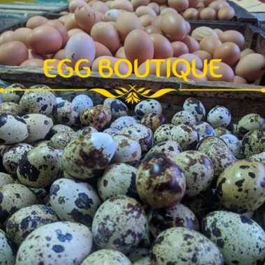 Telur Puyuh Mentah 1/2 kg