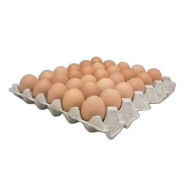 Telur Ayam 1 krat (30pcs)