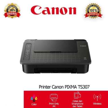 Printer Canon TS 307