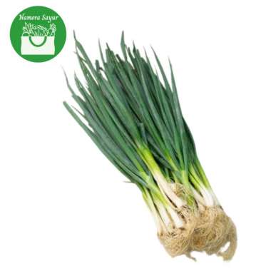 Daun Bawang 1 kg