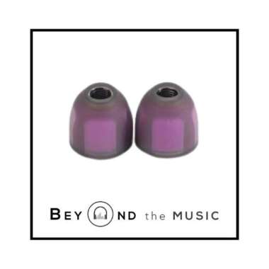 EarrBond EBT SS Stainless Metal Series Eartips Standard