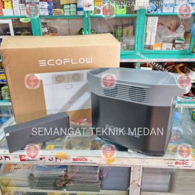 EcoFlow DELTA 2 Generator Portabel