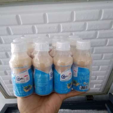 Yoyic minuman susu fermentasi rasa bluberry isi 12 uk 130 ml