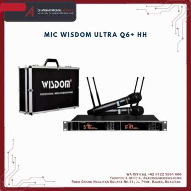 MIC WIRELESS WISDOM ULTRA Q6+ (HANDHELD)