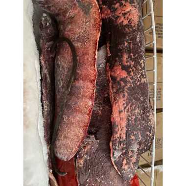 Limpa Sapi Lokal / Beef Spleen 1kg