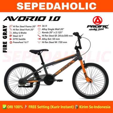 Sepeda Anak Laki BMX PACIFIC AVORIO 1.0 Ukuran 20 Inch Usia 8-12 Tahun Fire Gray