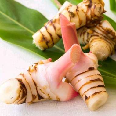Lengkuas Hidroponik Curah 1 kg