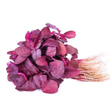 Bayam Merah Organik 250gr