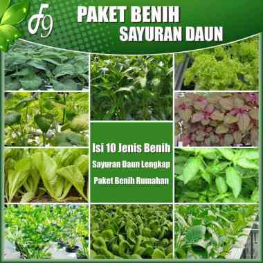 Paket Benih Bibit Sayuran Daun Lengkap 10 Jenis Benih Sayuran Kangkung Pakcoy Bayam Hijau Bayam Mera