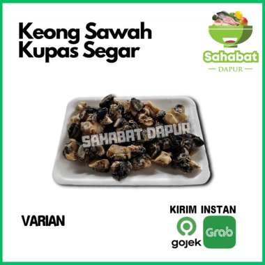 Keong Sawah Kupas Segar - Sahabatdapur 250gr