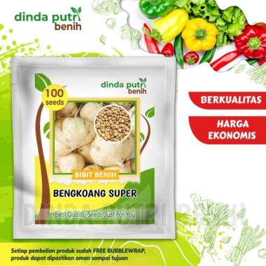 Benih buah bengkoang super isi benih 100 biji benih buah super