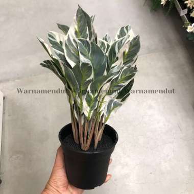 Tanaman Tiruan Dalam Pot 15cm Jenis Calathea Putih Dekorasi Hiasan Ruangan WMO IK3223