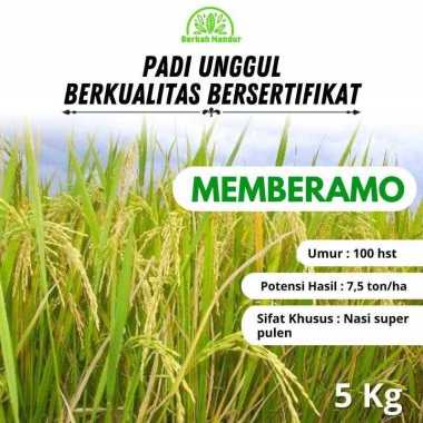 Benih Padi Memberamo / Membramo 5kg Nasi pulen