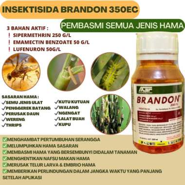 Insektisida Sistemik Ulat Pembasmi Semua Hama Tanaman 3 Bahan Aktif - BRANDON 100ML