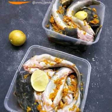 Lele Bumbu isi 10 ekor Frozen