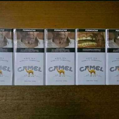 Rokok Camel 1 Slop 10 Bungkus 🔥 Harga Grosir Juli 2026