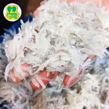 Teri Medan/Teri Nasi Basah 1Kg