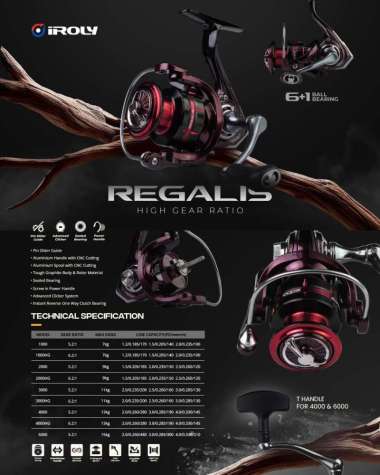 Reel Iroly Regalis HG 1000