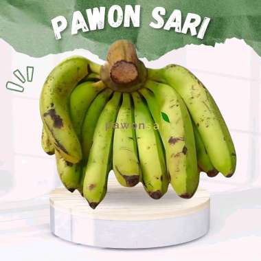PISANG AMBON LUMUT