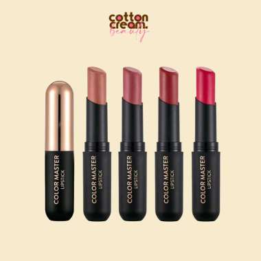 Flormar Color Master Lipstick 011 PLUMS