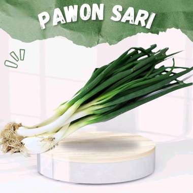Daun bawang | daun bawang campur seledri DAUN BAWANG
