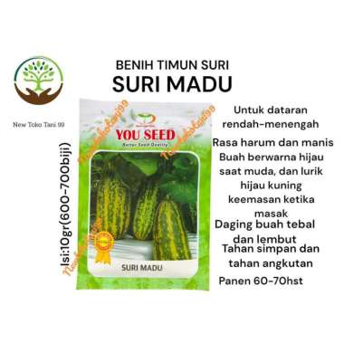 Benih timun SURI MADU 10 gram benih timun suri belang manis madu dari you seed timun suri hijau luri