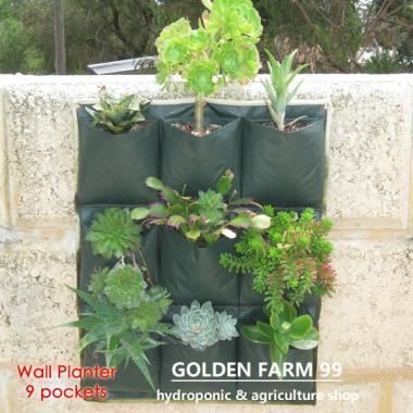 Easy Grow Wall Planter Bag Dinding 9 Kantong