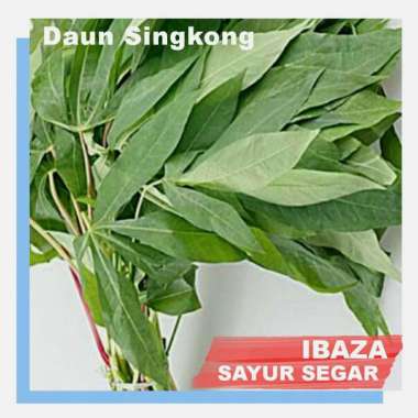 DAUN UBI / DAUN SINGKONG - Sayur Segar IBAZA fruitsBOX