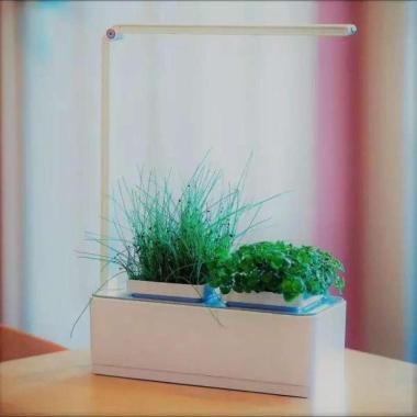 Pot Hidroponik Mini Garden Hidroponic Kit indoor Sistem