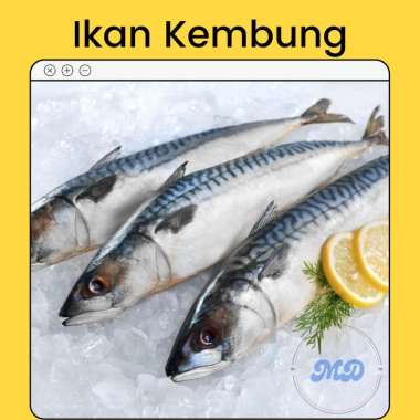 Ikan Kembung Banjar Segar 500 Gram Premium / Ikan Kembung Fresh Frozen