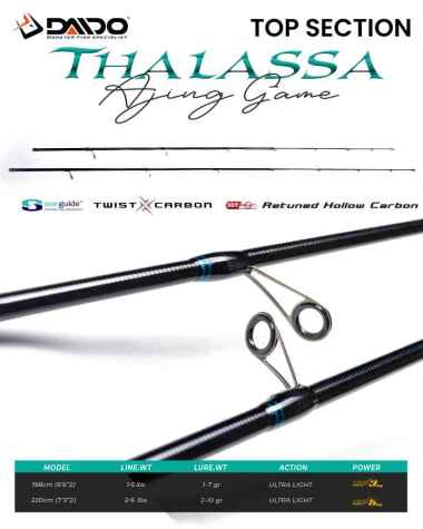 TOP SECTION DAIDO THALASSA 198 220 198CM