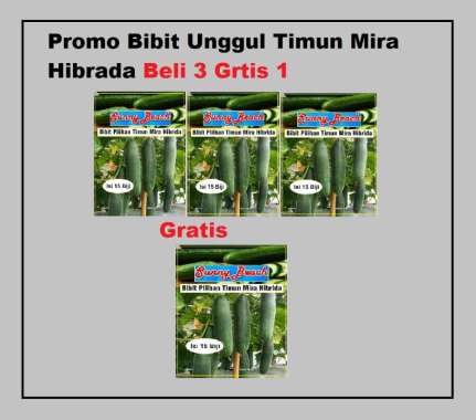 Promo Bibit Unggul Timun Mira Hibrida Beli 3 Gratis 1