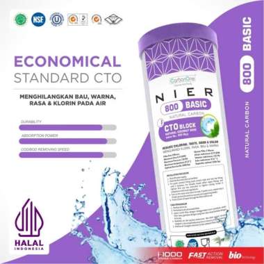 NIER BASIC CTO - Cartridge Filter Air CTO 20" Iodine 800 Mg/g