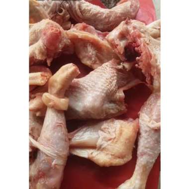 ayam merah parting mix 1kg/ayam merah potong/ayam afkir/ayam tua/ayam petelor