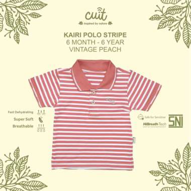 CUIT Kaos Kemeja Anak Laki-laki Polo Shirt Stripe Kairi - Baju Anak Kerah Wangki XXL (3-4 Tahun) VIN